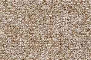 Ковролин Radici Trotter Gazzella 2408 фото  | FLOORDEALER